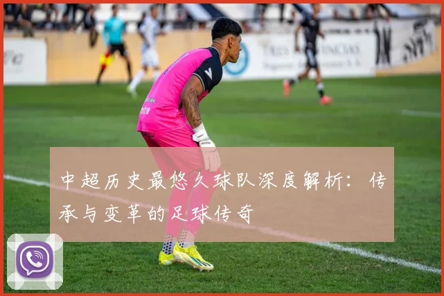 中超历史最悠久球队深度解析：传承与变革的足球传奇