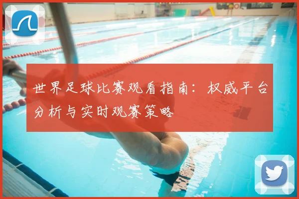 世界足球比赛观看指南：权威平台分析与实时观赛策略