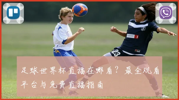 足球世界杯直播在哪看？最全观看平台与免费直播指南